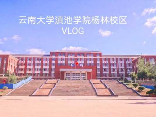 云南杨林有什么大学（云南杨林有什么大学和学院）