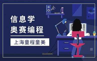 什么是儿童编程培训（什么儿童编程培训可以参加新奥赛）