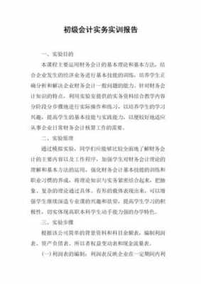 会计实务技能训练是什么（会计实务与技能的实训报告）