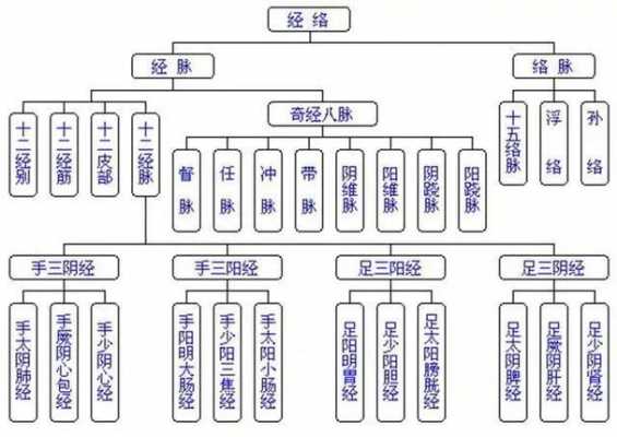 什么经脉不与脏腑连属（与脏腑没有直接络属关系的经脉）