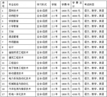 大专一般学什么（大专一般学什么内容）