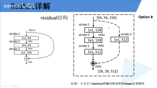 大学.net学什么（net需要学多久）