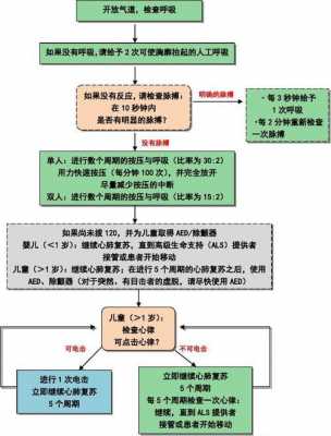 基础生命支持包括什么（基础生命支持的主要内容包括 ）