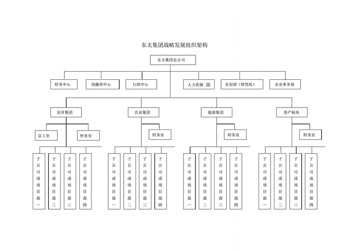 战略什么组织结构（什么是战略组织）