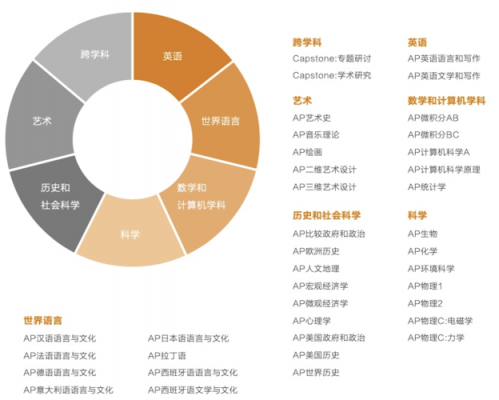 高一ap是什么（高中ap是什么意思）