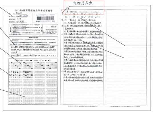 自考本作业什么意思（自考本科作业答案）