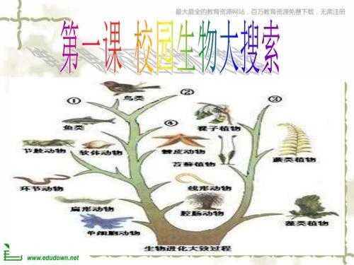 学校的生物有什么（校园有什么生物）