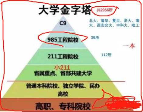 学校里有什么分类大全（学校分哪几种类型）