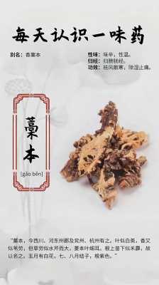 发散风寒药物有什么（发散风寒药的药理作用）